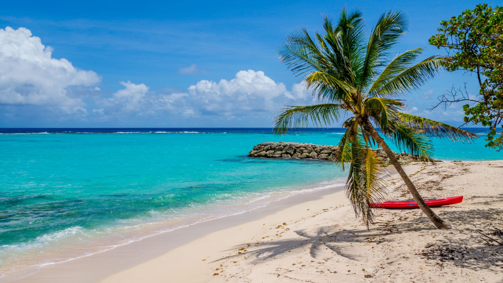 Vacances en Guadeloupe-Plage de sable fin et palmiers avec une eau turquoise