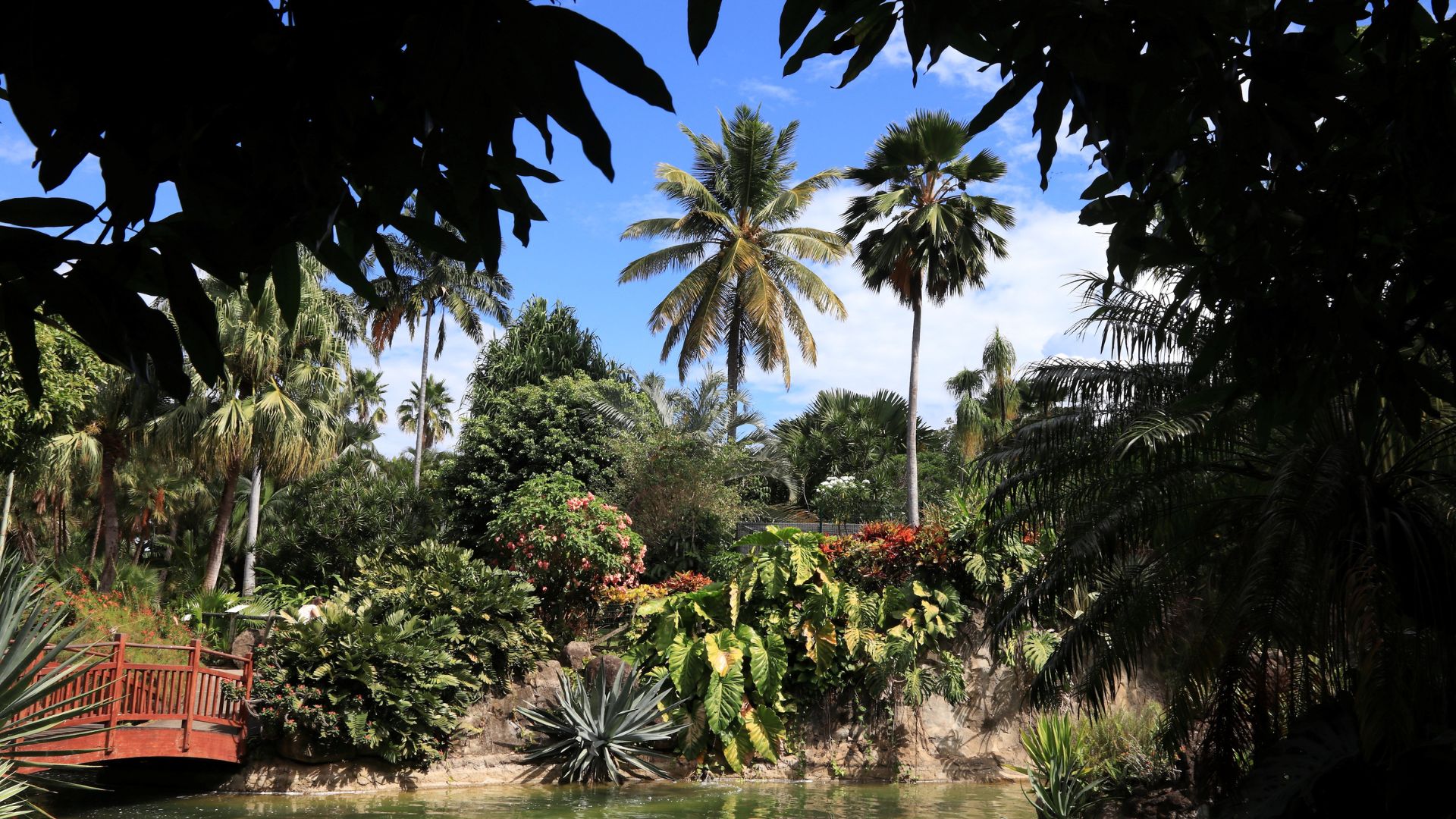 Vacances en Guadeloupe-Jardin botanique de Deshaies