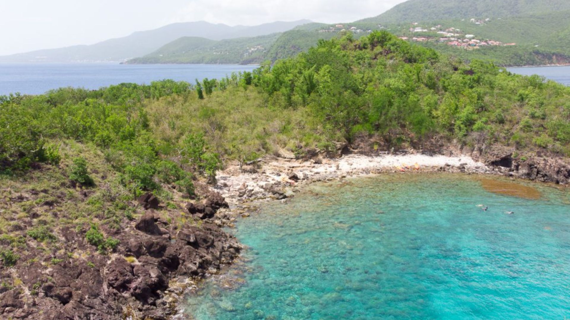 Plage de rêve en Guadeloupe - réserve Cousteau